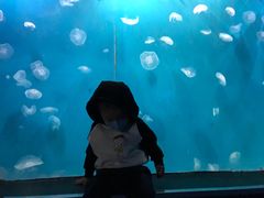 -重庆欢乐海底世界
