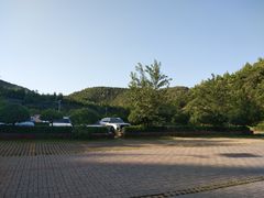 -五龙城郊森林公园