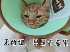 -亚宠动物医院·芭比堂宠物医院(盘龙店)