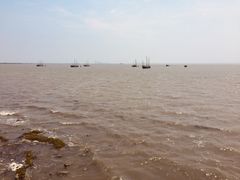 -贡湖湾湿地公园