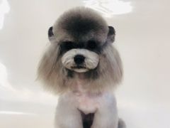 -奈斯宠物医院·核磁CT·异宠专科·内镜(中南店)