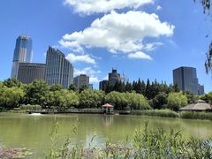 -新虹桥中心花园