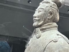 -秦始皇帝陵博物院(兵马俑)