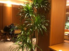 -奈雪的茶(大梅沙8号仓店)