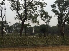 -昆城国际马术中心