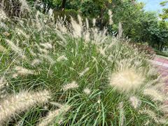 -怡海公园(桂城街道)