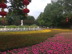-丰台花园