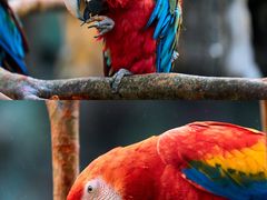 -杭州野生动物世界