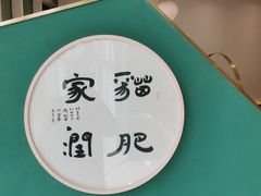 -飞行喵MR PILOT|猫舍·猫咖(静安大融城店)