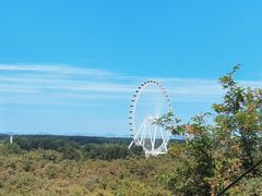 -南戴河国际娱乐中心