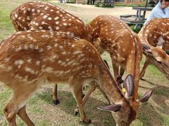 -盈香心动乐园