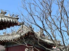 -泰山风景名胜区