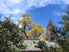 -青岛崂山太清宫