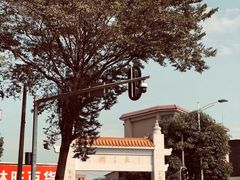 -长洲岛