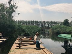 -滕州微山湖红荷湿地景区
