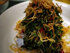 巧拌豆苗-四季民福烤鸭店(王府井灯市口店)