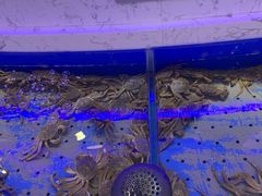 -澜悦港海鲜体验主题餐厅