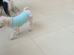 -怪兽屋·羊驼·猫咖·狗咖(俊华广场店)