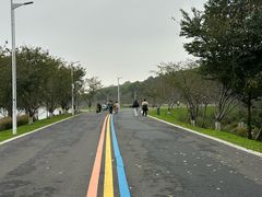-羊山湖公园