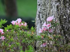 -杭州花家山庄