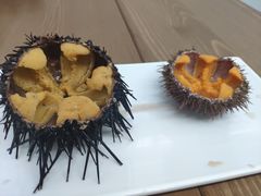 -海胆小馆(东北水饺·春柳店)