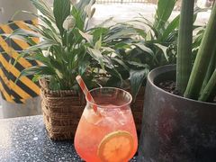 -Apollo·西班牙小酒馆(安福路店)