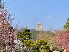 -庐山风景名胜区-东林大佛