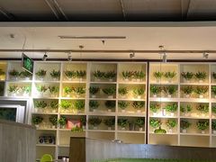 -四小姐的店(王府井店)