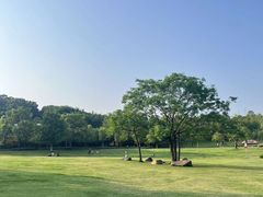 -牛岗山公园