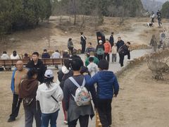 -白水寺森林公园