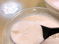 特色酸奶-新疆红柳花餐厅(新洲店)