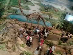 -自贡恐龙博物馆