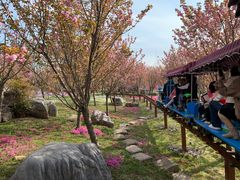 -南通洲际绿博园