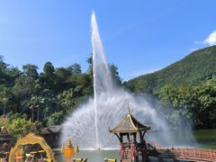 -西双版纳原始森林公园