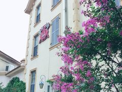 -北京张裕爱斐堡酒庄