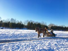 -北极村旅游风景区