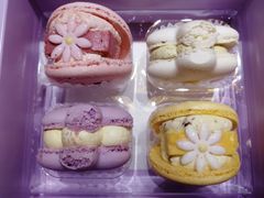 花花马卡龙-好利来(川大店)