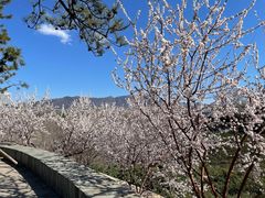 -滨河世纪广场公园