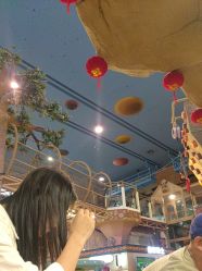 -卡通尼·Safari非洲探索乐园·生日会(金桥国际商业广场店)