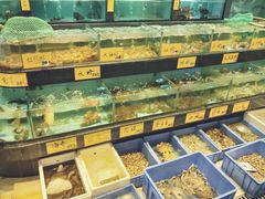 -万山楼海鲜酒家·二十三年老字号