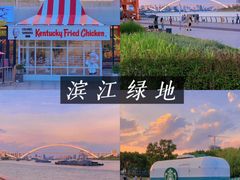 -上海滨江森林公园