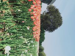 -石家庄市植物园