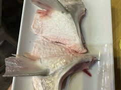 鱼翅-中山脆肉鲩(新圳东路店)