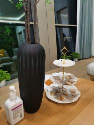 -POCO宝珂丽科技美肤