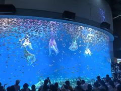 -合肥海洋世界