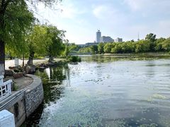 -长春市南湖公园