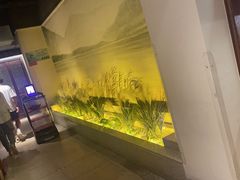 -東大方(湖州白鹭迎店)