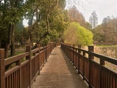 -东湖落雁景区