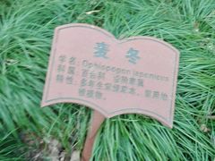 -上海佘山国家森林公园西佘山园