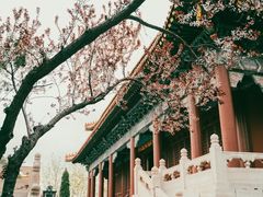 -禹城市禹王亭博物馆